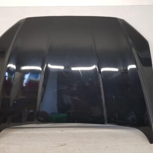 Capota motor Ford Motor MK5 DS73F16854CF 2015 2016 2017 2018