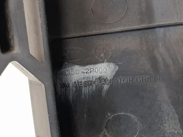 Grila radiator Kia Sorenta 86350-2P000 2010 2011 2012 2013 - imagine 11